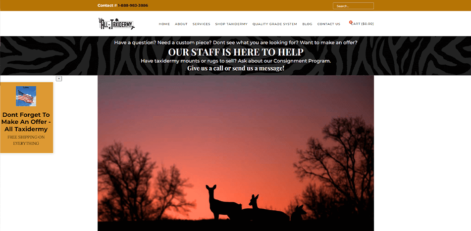 All-Taxidermy - Before Redesign