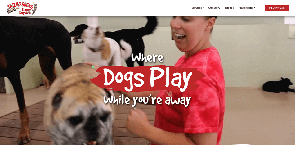 Tailwaggers Doggy Daycare - Before Redesign